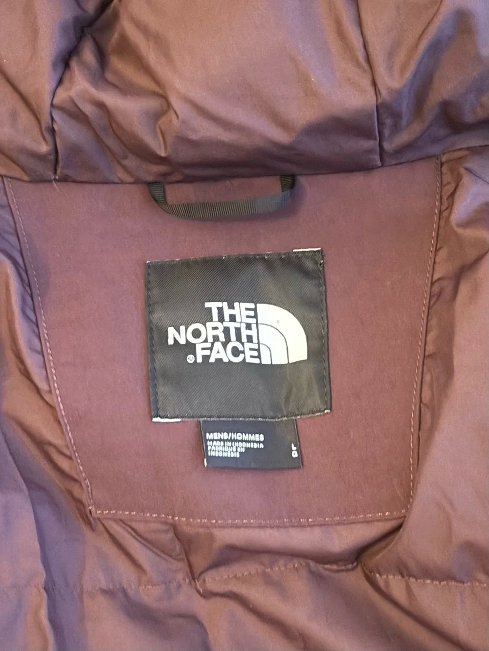 The North Face 550-down Parka